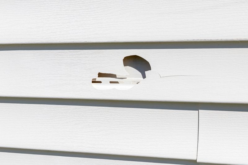 Professional Siding Repair